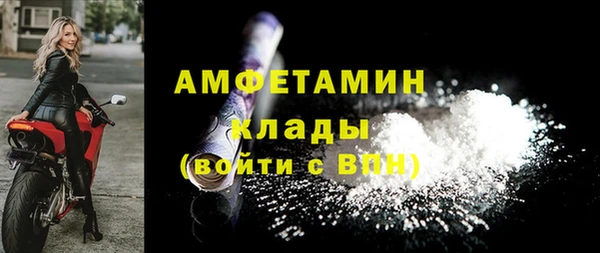 шишки Беломорск