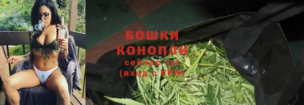 шишки Беломорск