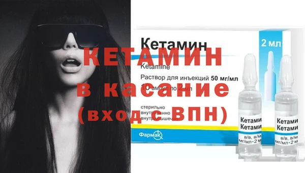 шишки Беломорск