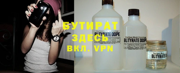 шишки Беломорск