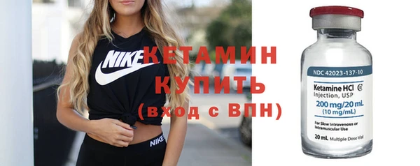 шишки Беломорск