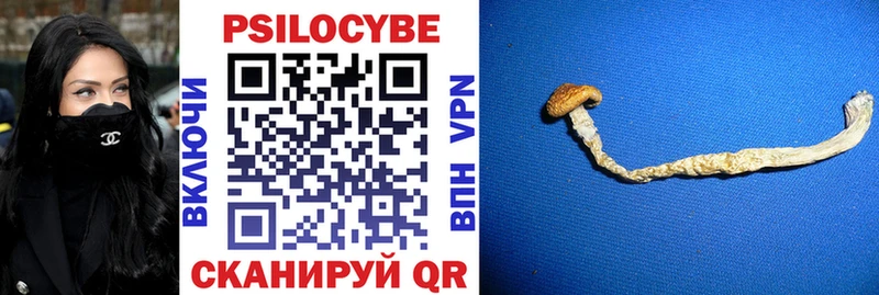 Псилоцибиновые грибы Psilocybine cubensis  кракен рабочий сайт  Малмыж 